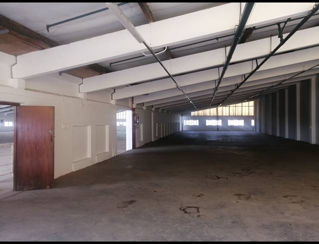 6,000M² WAREHOUSE TO LET IN NEW GERMANY